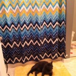 Shower Curtains At T.J. Maxx